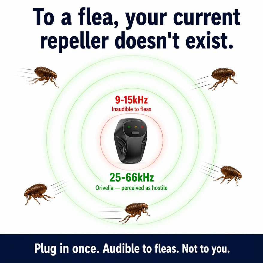 You've already tried one. It didn't work. Here's why.