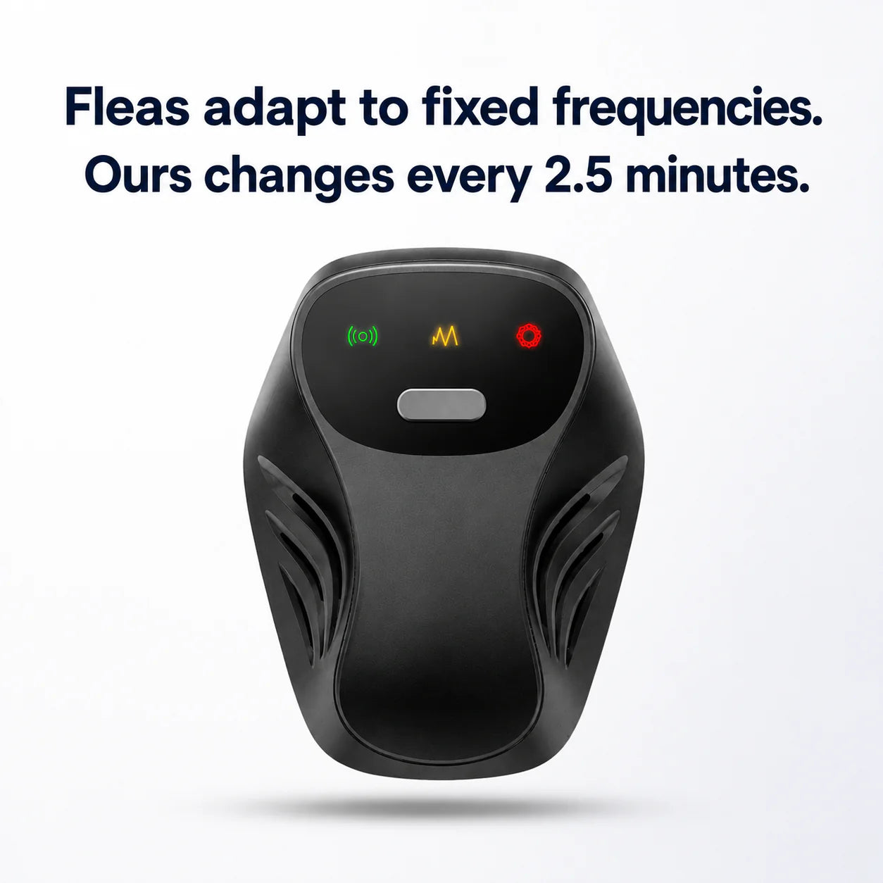 Keep your home flea-free. No chemicals. No effort.