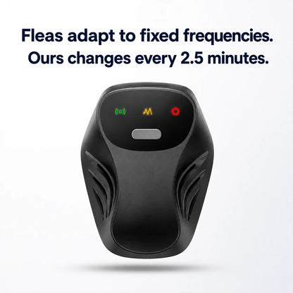 Keep your home flea-free. No chemicals. No effort.