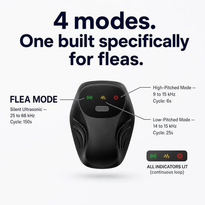 Keep your home flea-free. No chemicals. No effort.